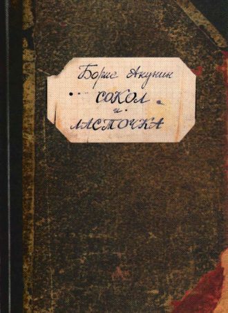Сокол и Ласточка читать онлайн