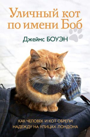 Уличный кот по имени Боб читать онлайн