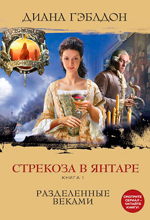 Стрекоза в янтаре. Книга 1. Разделенные веками читать онлайн