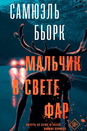 Мальчик в свете фар читать онлайн