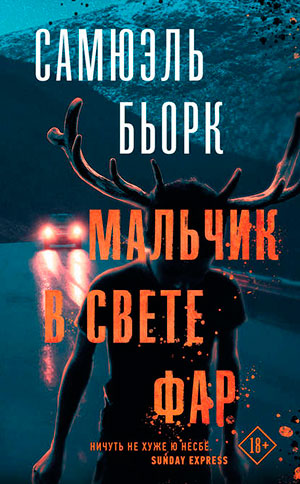 Мальчик в свете фар читать онлайн