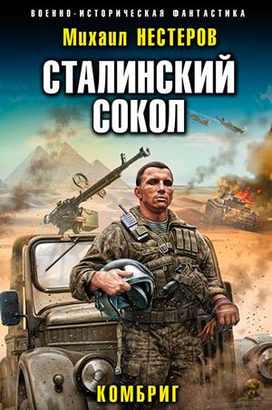 Сталинский сокол. Комбриг читать онлайн