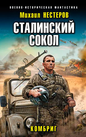 Сталинский сокол. Комбриг читать онлайн
