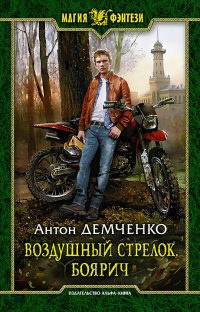 Воздушный стрелок. Боярич читать онлайн