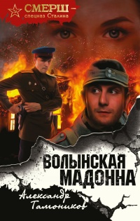 Волынская мадонна читать онлайн