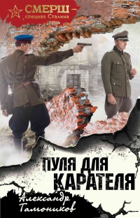 Пуля для карателя читать онлайн