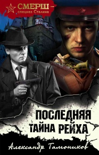 Последняя тайна рейха читать онлайн