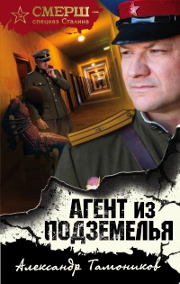 Агент из подземелья читать онлайн