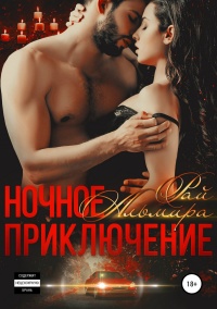 Ночное приключение читать онлайн