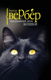 Завтрашний день кошки читать онлайн