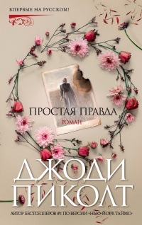 Простая правда читать онлайн