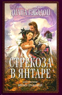 Стрекоза в янтаре. Книга 2. Время сражений читать онлайн