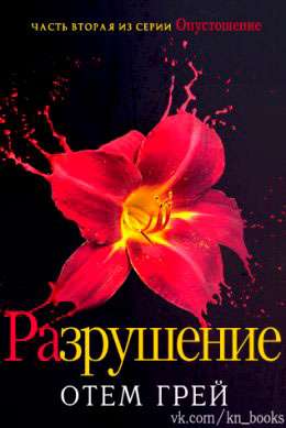 Разрушение читать онлайн