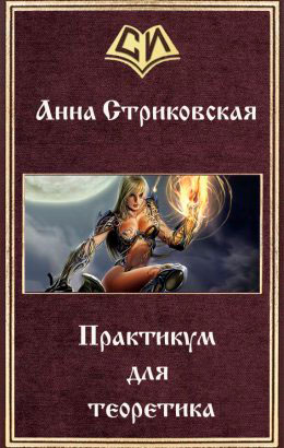Практикум для теоретика читать онлайн