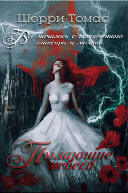 Пылающие небеса читать онлайн