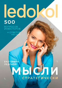 Мысли стратегически. 500 вопросов инвесторов и алгоритмы ответов на них читать онлайн