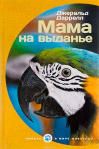 Мама на выданье читать онлайн