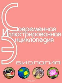 Энциклопедия «Биология». Часть 1. А – Л (с иллюстрациями) читать онлайн