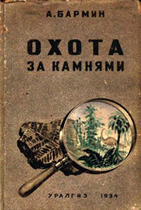 Охота за камнями читать онлайн