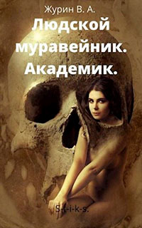 Академик читать онлайн
