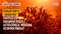 Почему не выделяют вирус SARS-CoV-2 читать онлайн